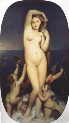 The Birth of Venus (mk04), Jean Auguste Dominique Ingres